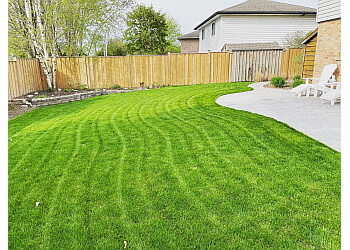 Stratford lawn care service GreenLeaf Electric Lawn Care