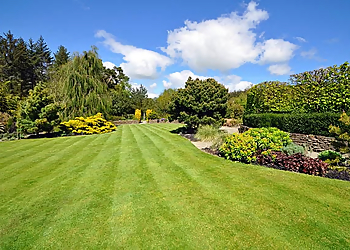 Green Thumb Lawn Services - Brantford, ON Service D'Entretien De Pelouse - Service Highlights