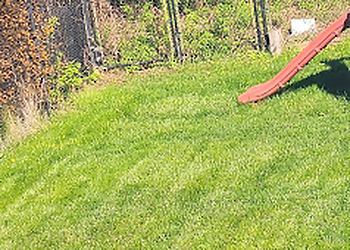 London lawn care service Greener Still Lawn Care