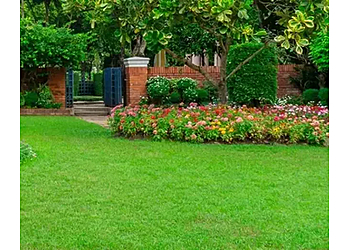 London Service D'Entretien De Pelouse Greener Still Lawn Care