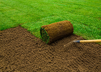 Greenfield Lawn Care & Landscaping Inc. Greenfield Lawn Care & Landscaping Inc. - Markham, ON Lawn Care Services - Service Highlights