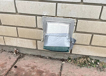 Kingston Services d'extermination de parasites Greenshield Pest Control, Inc.