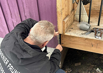 Saint Jerome pest control Grenier Faune Expert