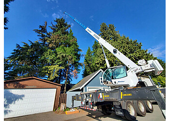 Vancouver Services d'arboriculteur Grizzly Tree Experts
