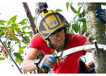 Vancouver Services d'arboriculteur Grizzly Tree Experts