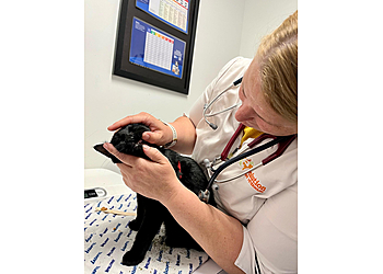 Shawinigan veterinary clinic Groupe vétérinaire Évolution