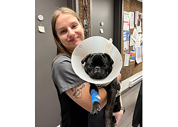 Shawinigan veterinary clinic Groupe vétérinaire Évolution