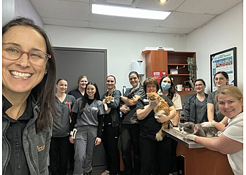 Shawinigan veterinary clinic Groupe vétérinaire Évolution