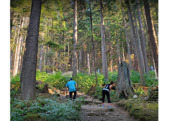 North Vancouver Sentiers De Randonnée Grouse Mountain