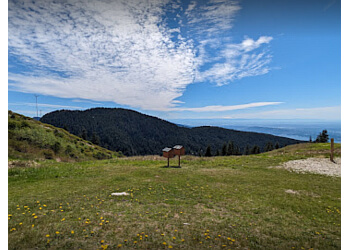 North Vancouver Sentiers De Randonnée Grouse Mountain