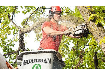 Sarnia tree service Guardian Tree Systems Inc.