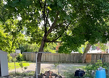 Guardian Tree Systems Inc. - Sarnia, ON Tree Services - Service Highlights