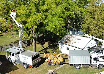 Guardian Tree Systems Inc. - Sarnia, ON Tree Services - Service Vehicle Image