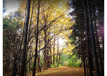 Guelph hiking trail Guelph Lake Conservation Area