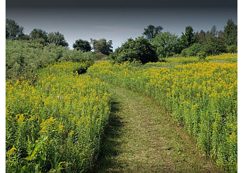 Guelph hiking trail Guelph Lake Conservation Area