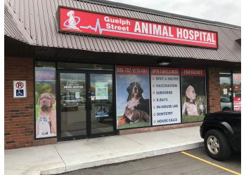 Halton Hills veterinary clinic Guelph Street Animal Hospital