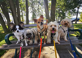 Gussy & Company Inc. - Toronto, ON Dog Walkers - Service Highlights
