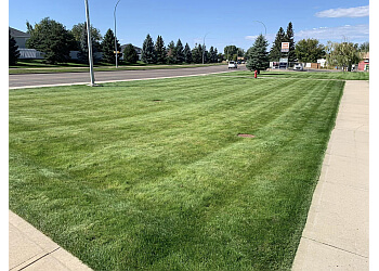 Medicine Hat lawn care service HAT Lawn Care