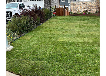 Airdrie Service D'Entretien De Pelouse HD Property Care Ltd.