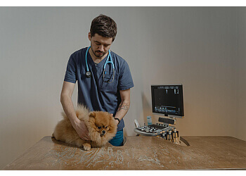 Maple Ridge veterinary clinic Head to Tail Veterinary Hospital