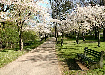 Toronto hiking trail High Park
