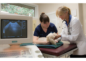Guelph Cliniques Vétérinaires Highway 24 Veterinary Clinic