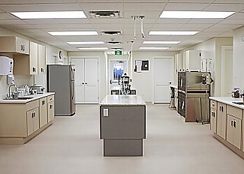 Fredericton veterinary clinic Hometown Veterinary Hospital