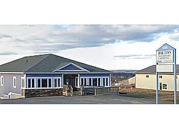 Fredericton veterinary clinic Hometown Veterinary Hospital image 1