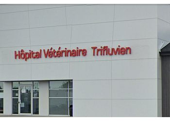 Trois Rivieres veterinary clinic HOPITAL VÉTÉRINAIRE TRIFLUVIEN 