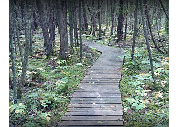 Belleville hiking trail H.R. Frink Conservation Area