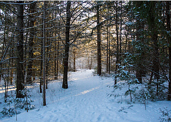 Belleville hiking trail H.R. Frink Conservation Area