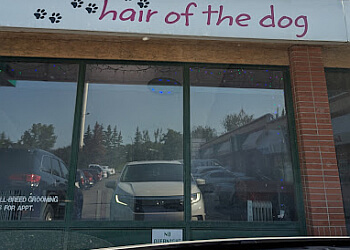 Calgary
Salons de Toilettage Pour Animaux De Compagnie
Hair of the dog Grooming Salon Inc. image 1