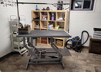 Lethbridge pet grooming Hair Of The K9