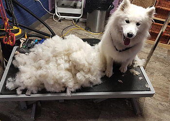Lethbridge pet grooming Hair Of The K9