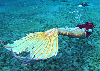 Halifax entertainment company Halifax Mermaids