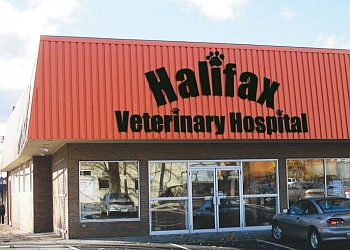 halifax veterinary ns clinics threebestrated excellence deserve cost general only