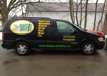 Milton pest control Halton Wildlife Services image 1