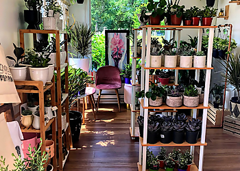 Fredericton Fleuristes Hanson Road Flower Co.