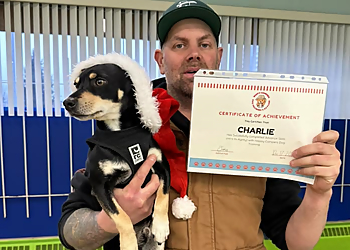 New Westminster dog trainer Happy Campers Dog Training & Daycare