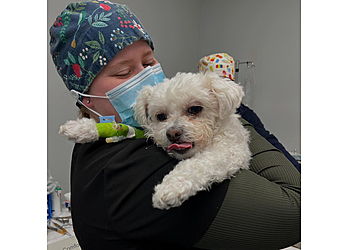 Airdrie veterinary clinic Happy Paws Veterinary Clinic Airdrie