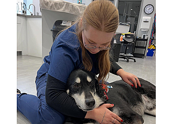 Airdrie veterinary clinic Happy Paws Veterinary Clinic Airdrie