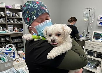 Happy Paws Veterinary Clinic Airdrie - Airdrie, AB Cliniques Vétérinaires - Doctor With Patient Image