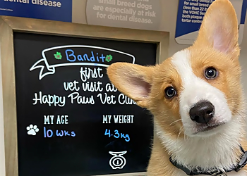 Happy Paws Veterinary Clinic Airdrie - Airdrie, AB Cliniques Vétérinaires - Service Highlights