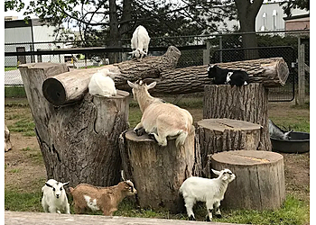 St Catharines places to see Happy Rolph's Animal Farm