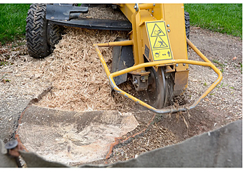 Saint Hyacinthe Services d'arboriculteur Harbra Taillage et Émondage