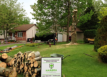 Saint Hyacinthe Services d'arboriculteur Harbra Taillage et Émondage