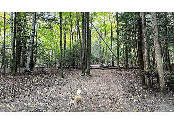 Oshawa hiking trail Harmony Valley Conservation Area