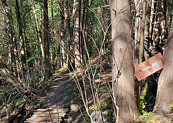 Peterborough hiking trail Harold Town Conservation Area