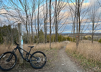 Peterborough hiking trail Harold Town Conservation Area