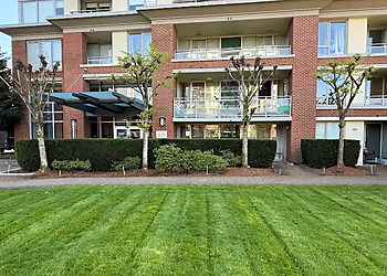 Delta lawn care service Harp Landscaping